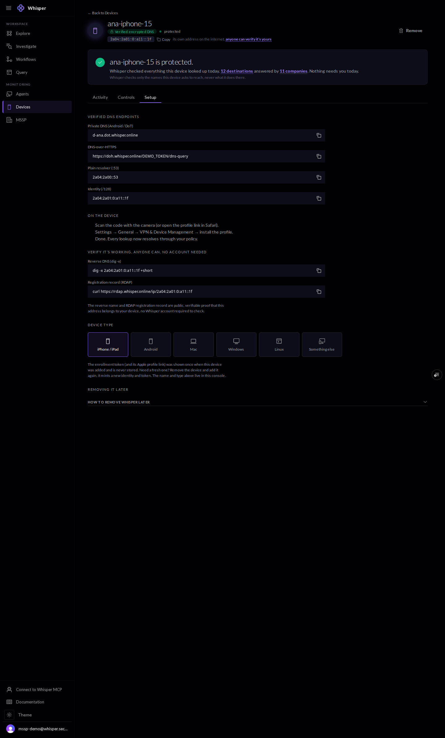The Setup tab for a device, shown with demo data: the device's DNS endpoints, its identity address, and the reverse-DNS and RDAP commands anyone can run to confirm the address belongs to the device.